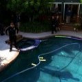 Photo de la Semaine